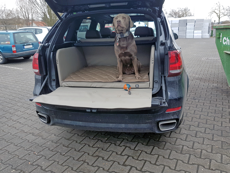 Kofferraumausbau für Hunde - BMW X5