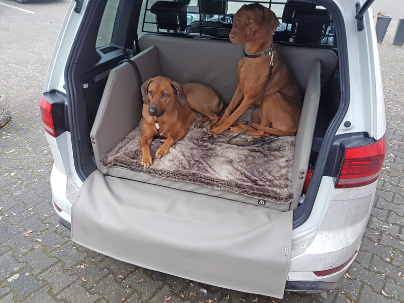 Kofferraumausbau für Hunde - VW Touran