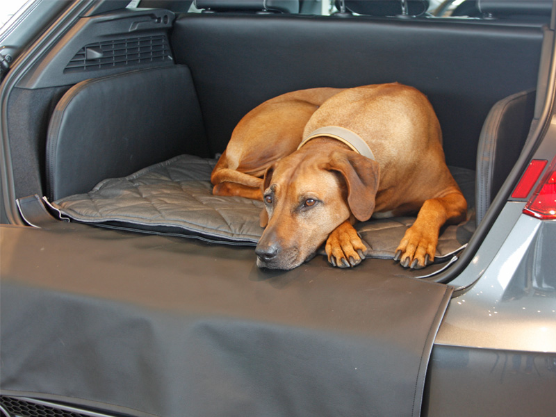 Kofferraumausbau für Hunde - Audi A3