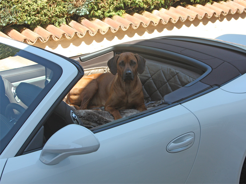 Rückbankausbau für Hunde - Porsche 911/991 Cabrio