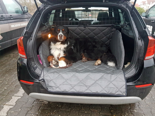 Schondecke für Hunde - BMW X1