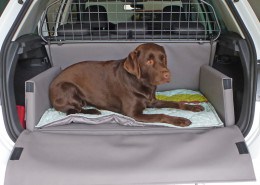 Hundetransport Kofferraum Hund VW Volkswagen Golf