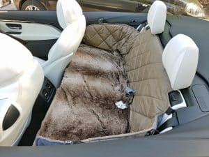 Rückbank Rücksitz Hund BMW M4 4er Cabrio