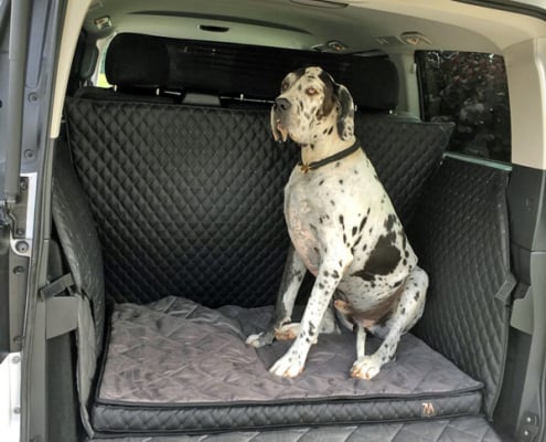 Hundetransport Kofferraum Schondecke DELUXE Mercedes-Benz V-Klasse Hund